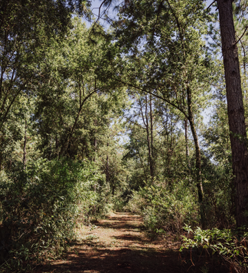 proyecto de santo domingo