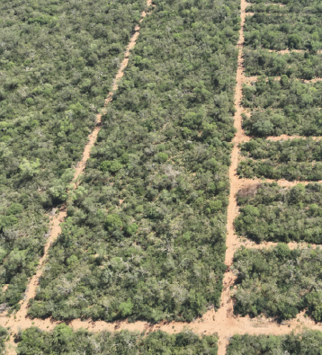 proyecto de chaguaral