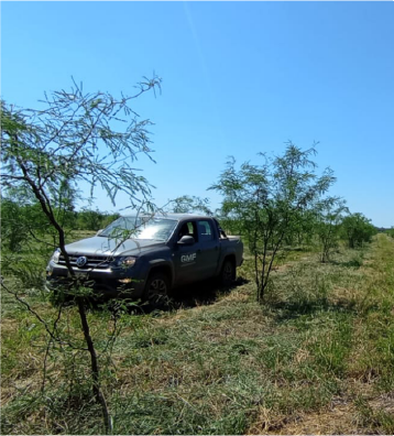 proyecto de santa bárbara (chaco seco)
