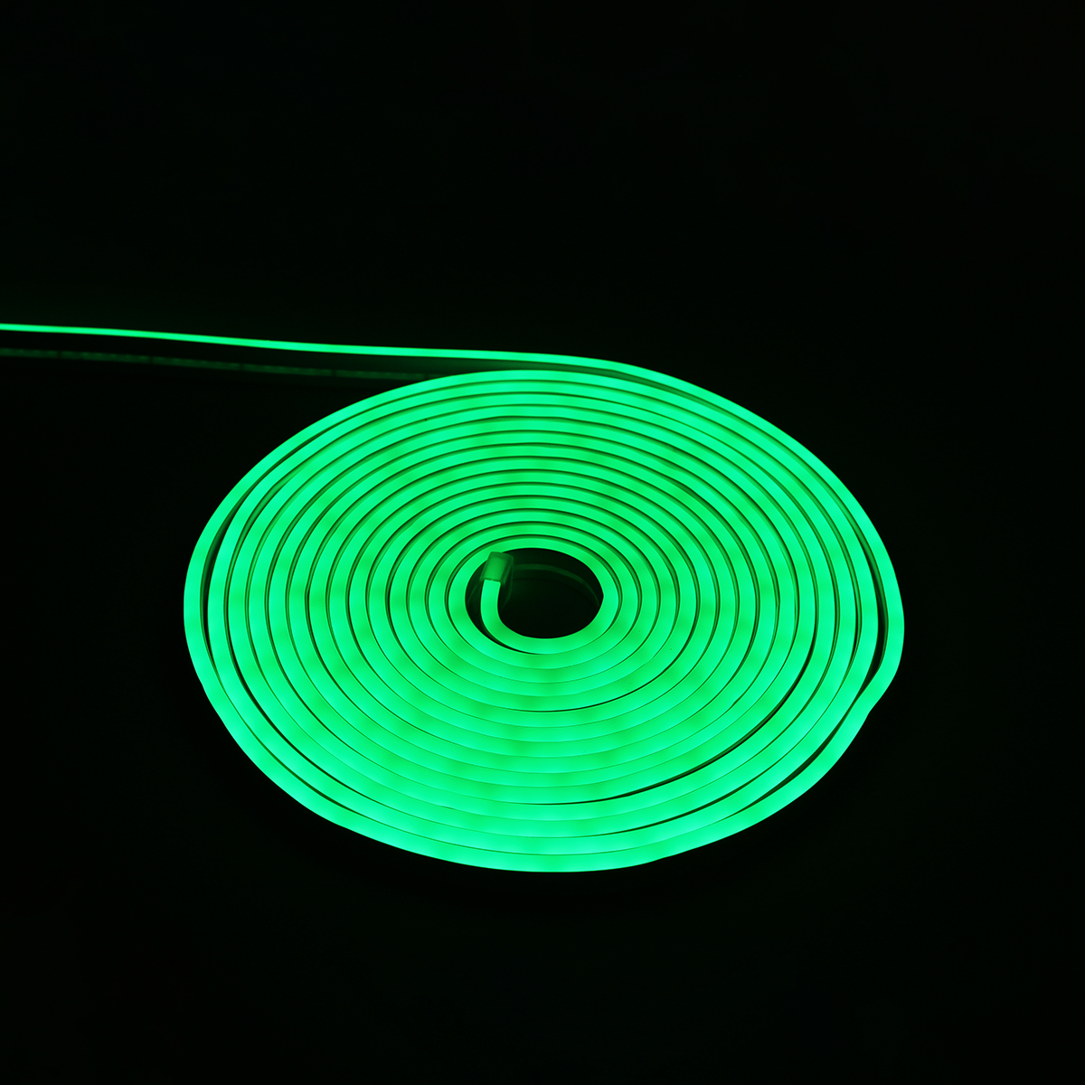 ROLLO DE LED ROLLO DE LED DE NEON ULTRA BRILLOSO 5 METROS VERDE 12V - 2