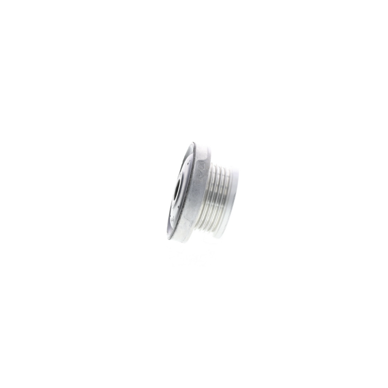 POLEA DE ALTERNADOR RENAULT KANGOO 1.6 NAFTA - 7700110616